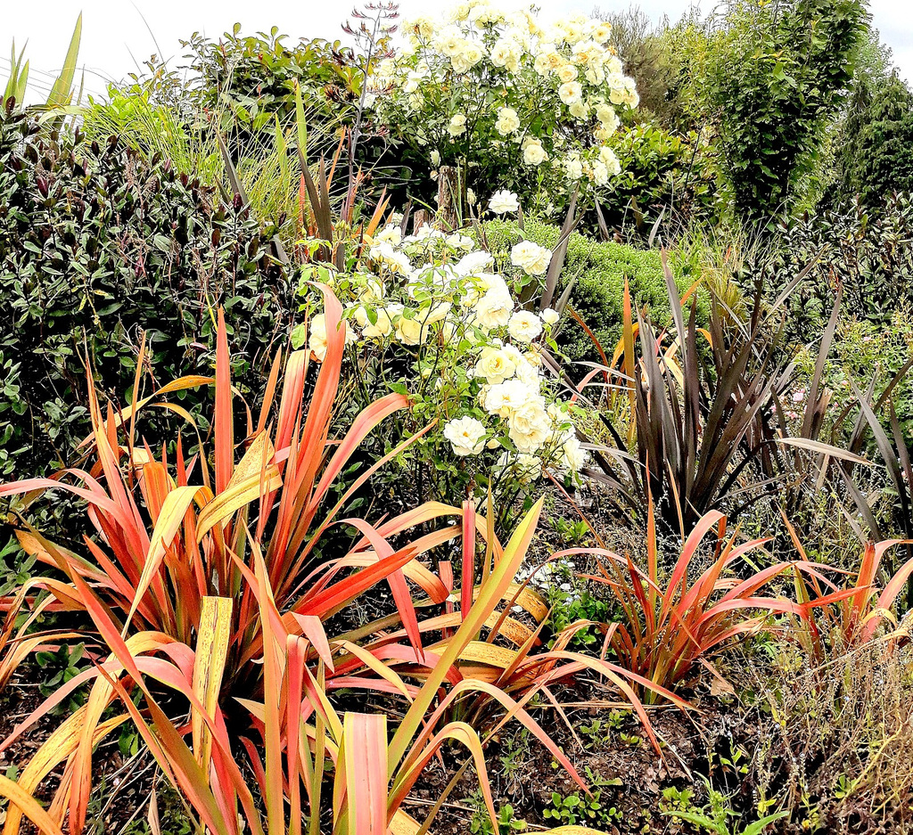 Nice Roadside Garden.