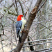 Through the window of the nature center