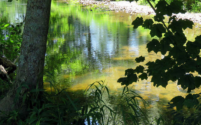 The river on a hot Sunday.