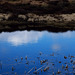 pond at Snake Summit