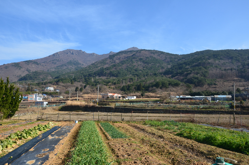 Geoje Island