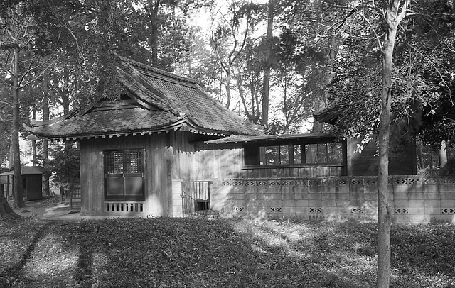 Shrine in the grove