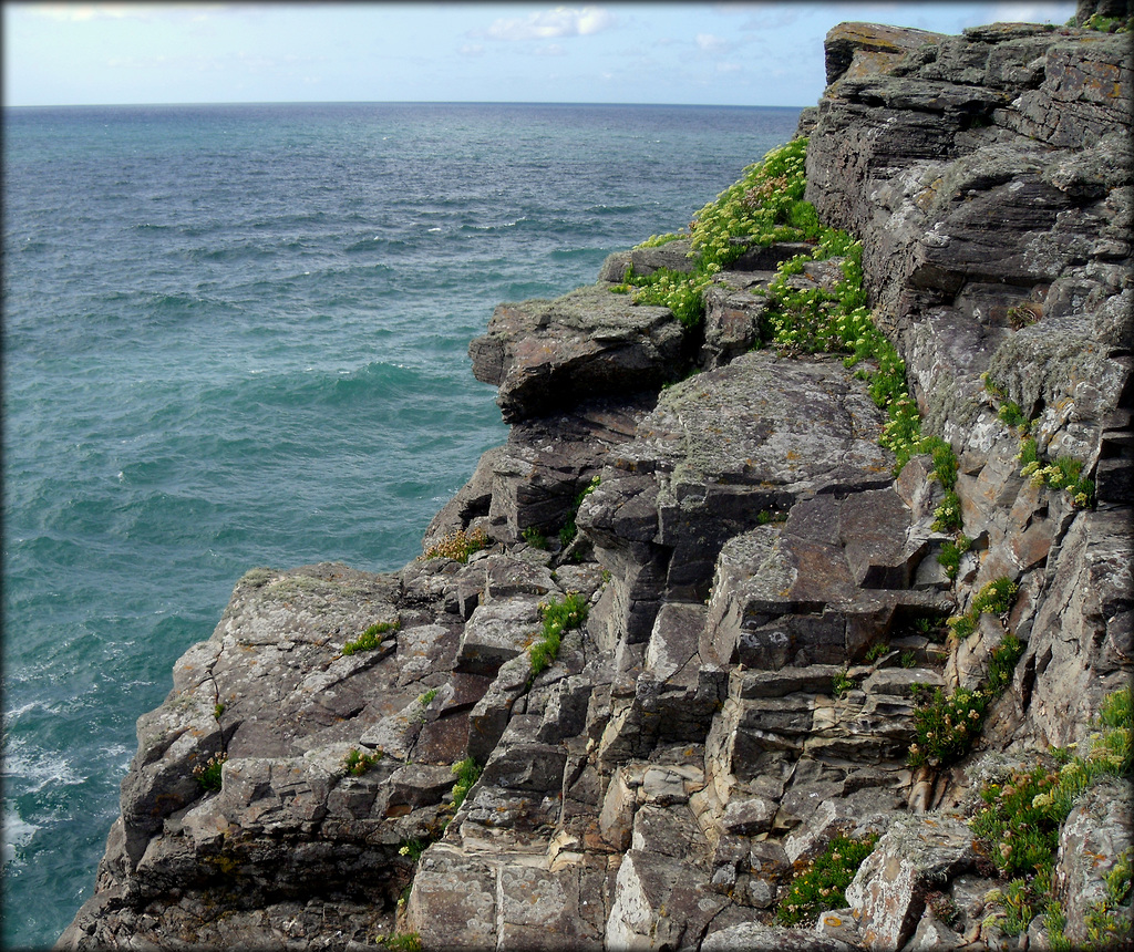 Granite and rock samphire