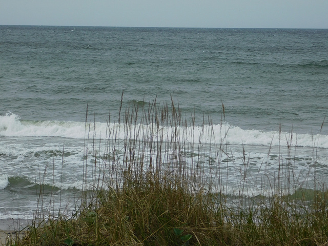 Strand und Steilküste zwischen Markgrafenheide und Graal-Müritz