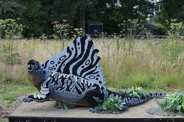 Marwell Zoo (24) - 15 July 2019