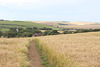 11 The path to Bishopstone