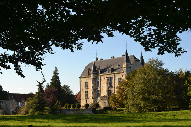 Castle  Schalloen 11th century