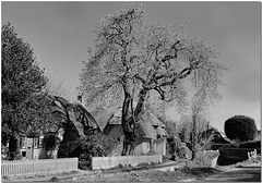 Arkesden,  Essex