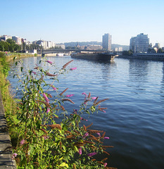 La Meuse à Liège