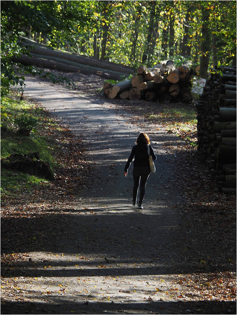 Balade en forêt