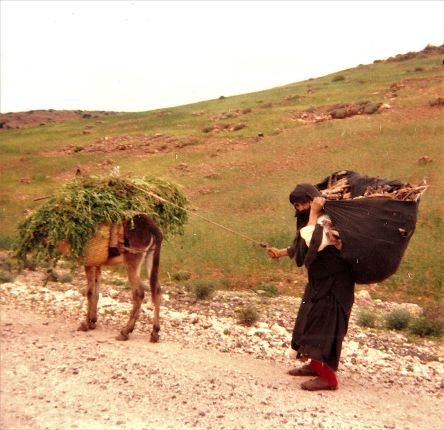 Moment de labeur au Maroc (1986)