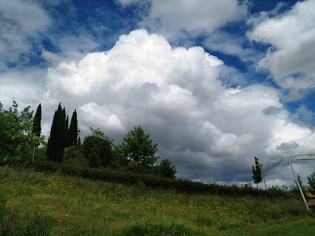 Nubes de la tarde, 13