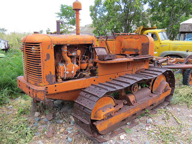 Orange Dozer