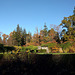 Autumn Colours In Balloch Park
