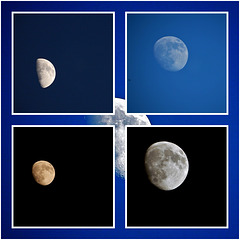 Madame la lune vous souhaite la belle semaine