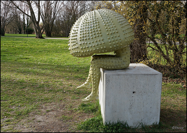 "Der schützende Seeigel" von Daniel Zanca