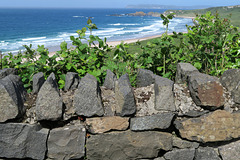 IMG 5379-001-Stone Wall