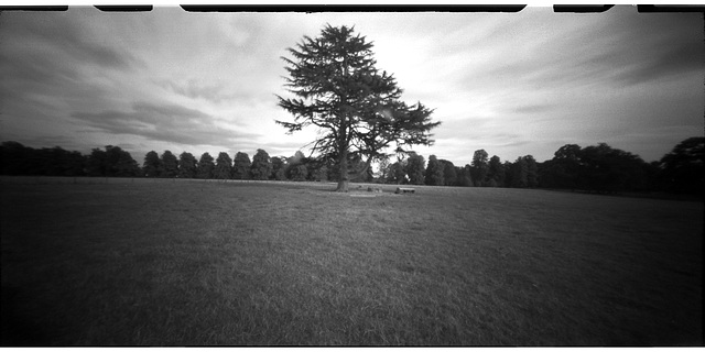 Lamer Park (pinhole)