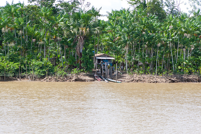 Amazonas-0604