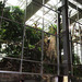 Barcelona: Museo de las Ciencias, 18