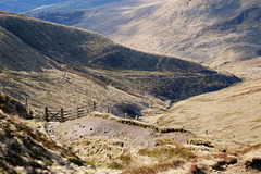 A Gate on the Doctor's Gate path