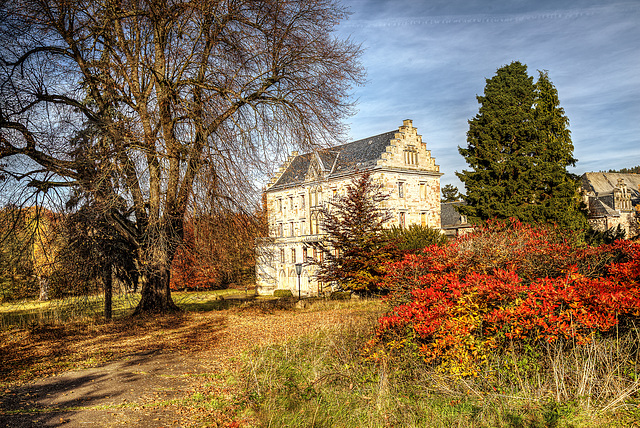 Schloß und Park  Reinhardsbrunn. 201510