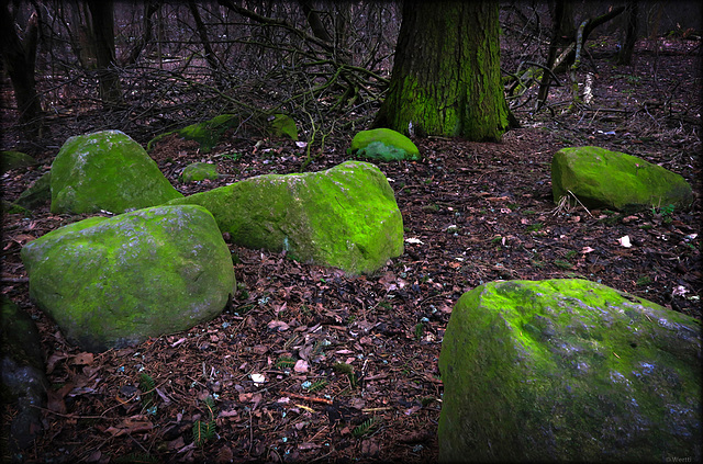 meeting place on St.Patricks Day