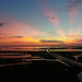 Mobile Bay sunset