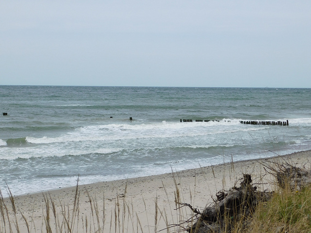 Strand und Steilküste zwischen Markgrafenheide und Graal-Müritz