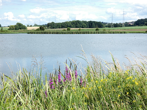 Oberpfälzer Seenland