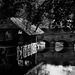 Ancien lavoir sur la Juine