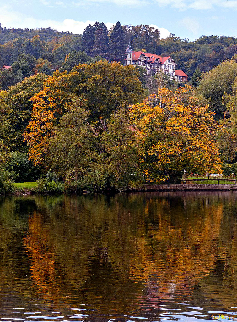 Haus überm Teich