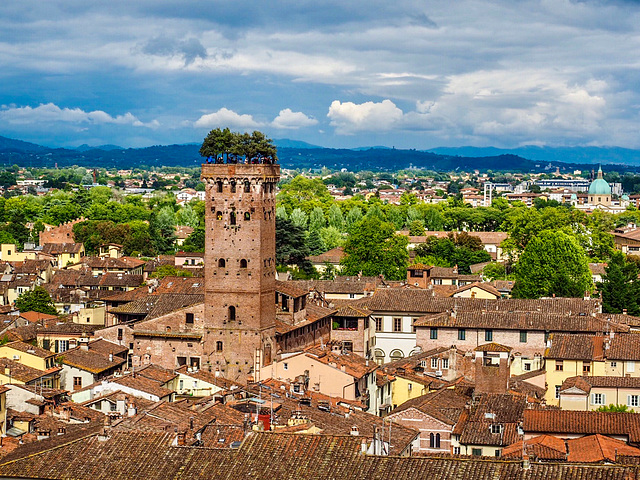 Lucca, Torre Guinigi, Toscana