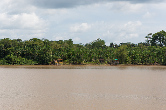 Amazonas-0605