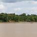 Amazonas-0605