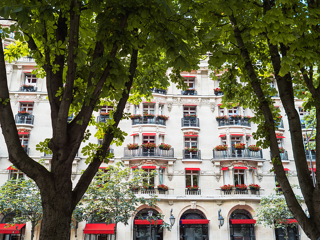 Am Canal Saint-Martin, Paris