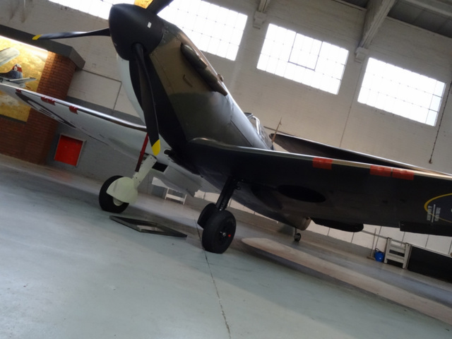 iwmdux (1274)