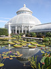 Summer at the New York Botanical Garden