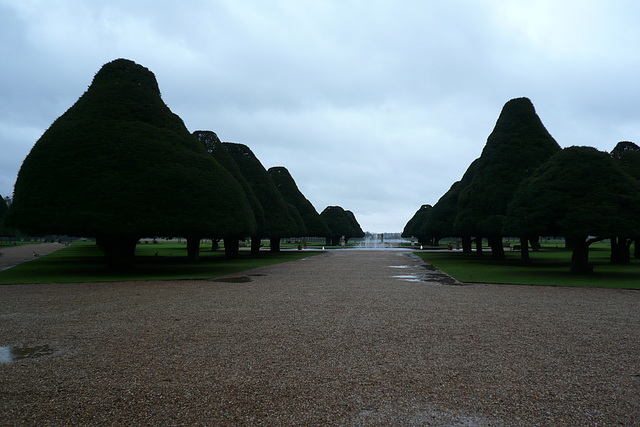 Hampton Court Gardens