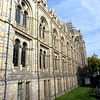 Natural History Museum London