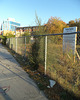 Public notice fence / Avis publique et clôture végétale