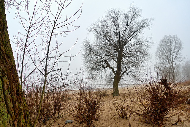 -elbstrand-02248-co-31-12-16