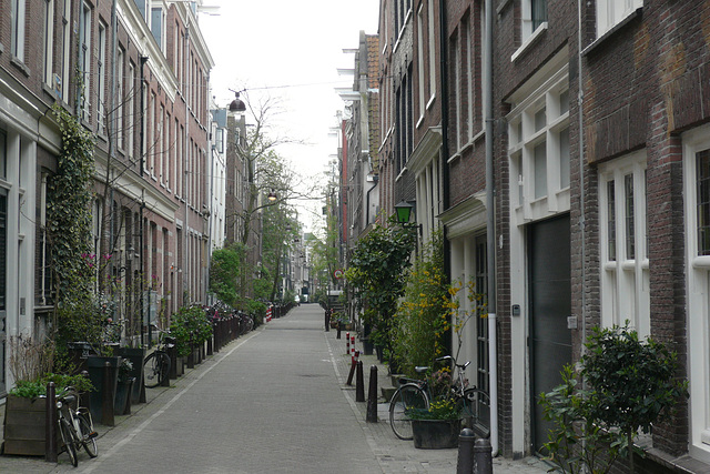 Amsterdam Street Scene