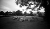 Carrowmore passage tomb No. 1