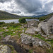 Lake Llynnau9