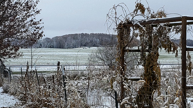 The Gateway, the Garden, the Field, the Trees