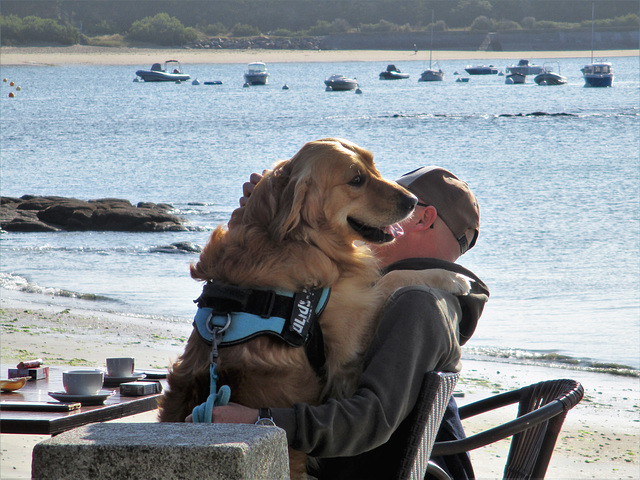 le toutou qui avait beaucoup de tendresse à partager,,    the doggie who had a lot of tenderness to share,