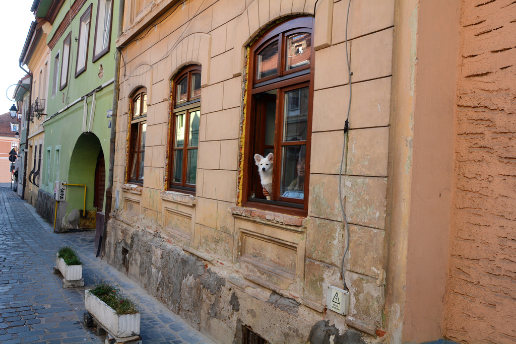 Romania, Brașov, Observing for Cerbului Street