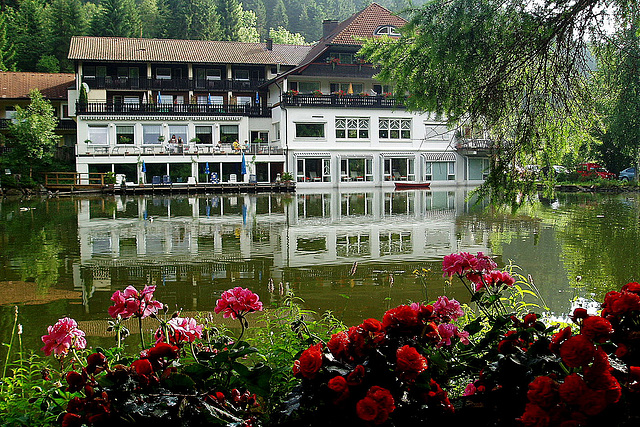 Langenwaldsee - Freudenstadt Allemagne