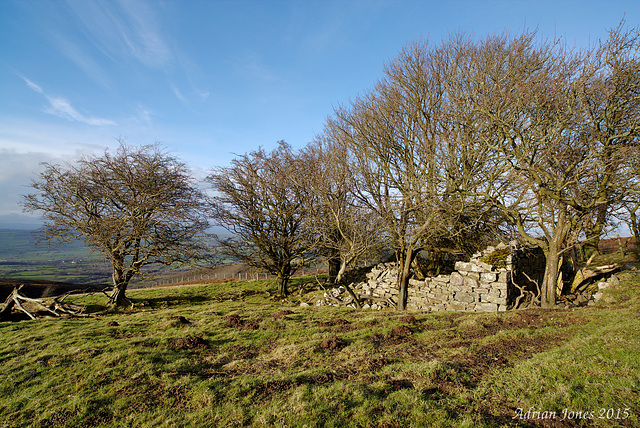 Blakemoorflat Shropshire